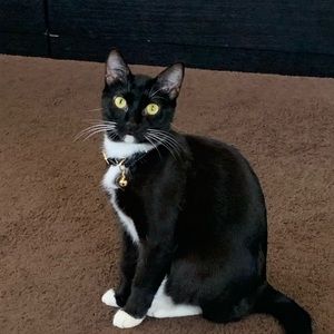 Meet your Posher, Jose O